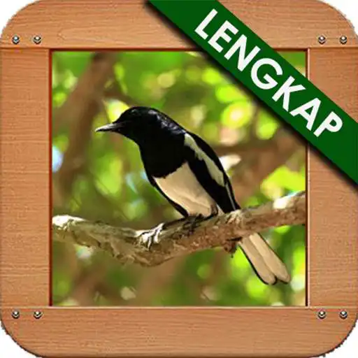 Run free android online Masteran Kacer Poci Baru APK