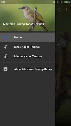 Play Masteran kapas Tembak Offline  and enjoy Masteran kapas Tembak Offline with UptoPlay