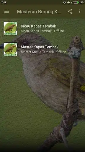 Play Masteran kapas Tembak Offline as an online game Masteran kapas Tembak Offline with UptoPlay