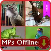 Free play online Masteran Kasar APK