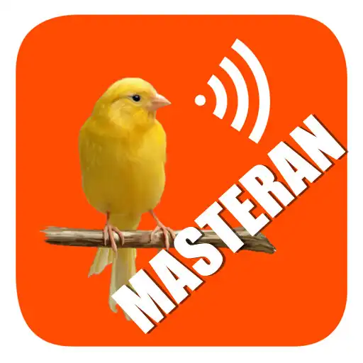 Play Masteran Kenari Gacor APK