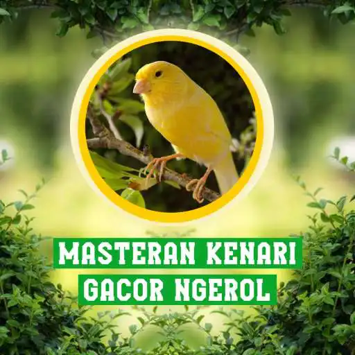 Play Masteran Kenari Gacor Ngerol APK