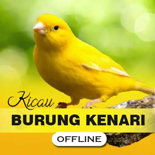 Play Masteran Kenari Gacor Offline APK