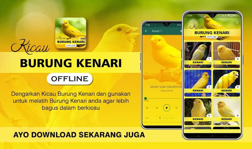 Play Masteran Kenari Gacor Offline  and enjoy Masteran Kenari Gacor Offline with UptoPlay