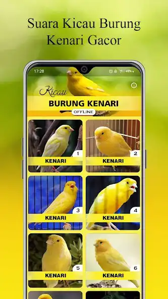 Play Masteran Kenari Gacor Offline as an online game Masteran Kenari Gacor Offline with UptoPlay