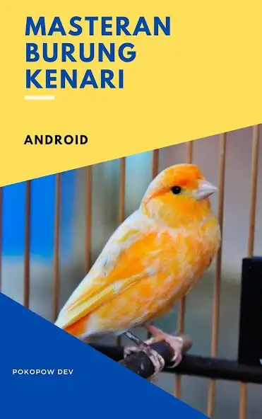 Play Masteran Kenari Gacor as an online game Masteran Kenari Gacor with UptoPlay