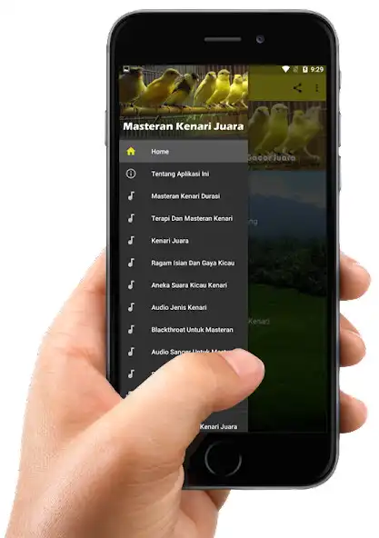 Play Masteran Kenari Juara as an online game Masteran Kenari Juara with UptoPlay