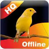 Free play online Masteran Kenari Manjur APK