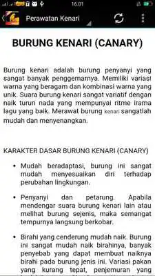 Play Masteran Kenari Manjur Play Masteran Kenari Manjur