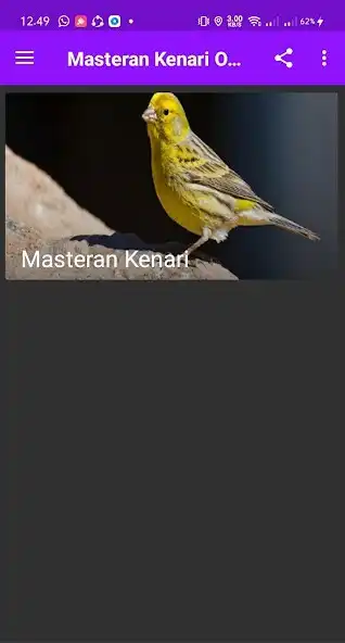 Play Masteran Kenari Offline
