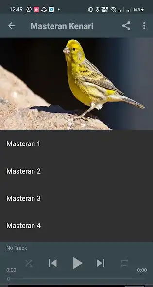 Play Masteran Kenari Offline
