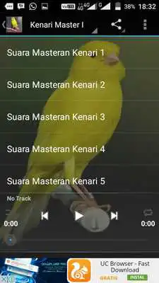 Play Masteran Kenari Offline