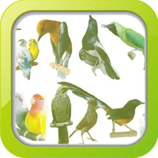 Free play online Masteran Kicau Burung APK
