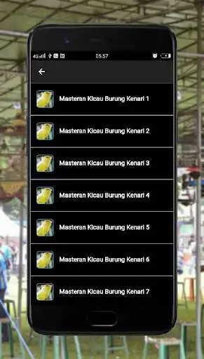 Play Masteran Kicau Burung Kenari