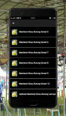 Play Masteran Kicau Burung Kenari