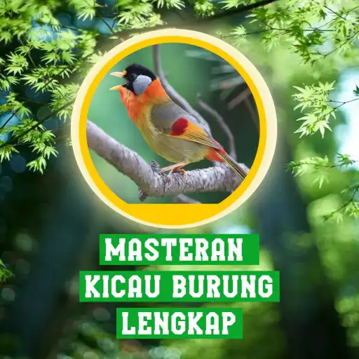 Play Masteran Kicau Burung Lengkap APK