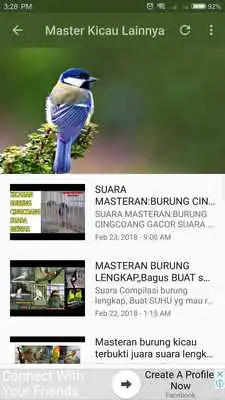 Play Masteran Kicau Burung Lengkap