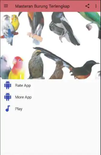 Play Masteran Kicau Burung as an online game online Masteran Kicau Burung with UptoPlay Play Masteran Kicau Burung as an online game Masteran Kicau Burung with UptoPlay