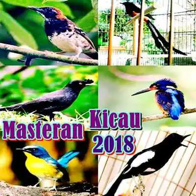 Play Masteran Kicau Burung Terbaru 2018