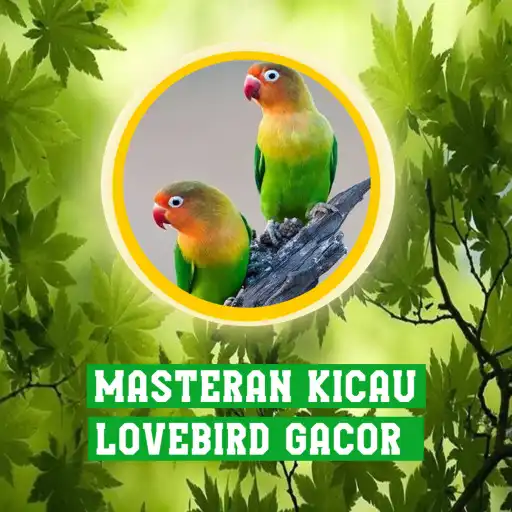 Free play online Masteran Kicau Lovebird Gacor APK Free play online Masteran Kicau Lovebird Gacor APK