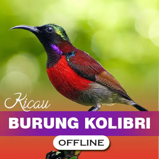 Play Masteran Kolibri Gacor Offline APK