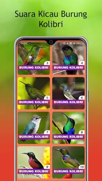 Play Masteran Kolibri Gacor Offline as an online game Masteran Kolibri Gacor Offline with UptoPlay