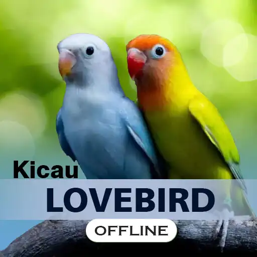 Play Masteran Lovebird Gacor APK