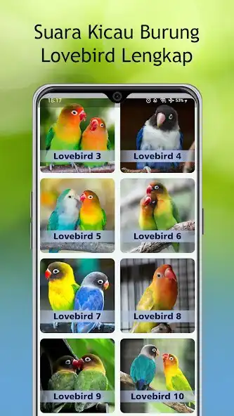 Play Masteran Lovebird Gacor as an online game Masteran Lovebird Gacor with UptoPlay