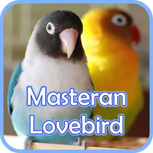 Play Masteran Lovebird Ngekek Gacor APK