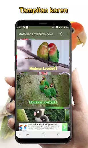 Play Masteran Lovebird Ngekek Gacor  and enjoy Masteran Lovebird Ngekek Gacor with UptoPlay