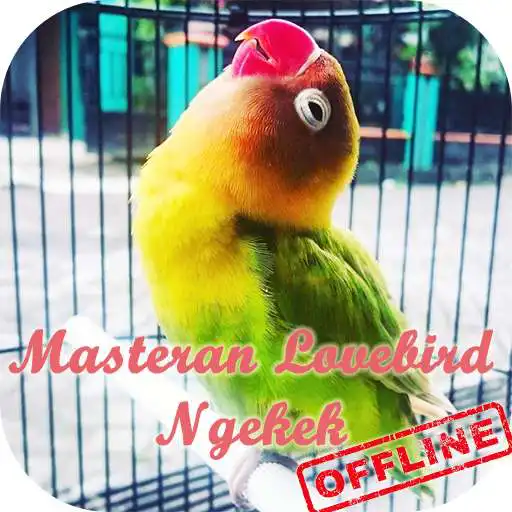 Free play online Masteran Lovebird Ngekek APK