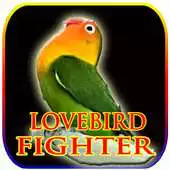 Free play online Masteran Lovebird Petarung APK Free play online Masteran Lovebird Petarung APK