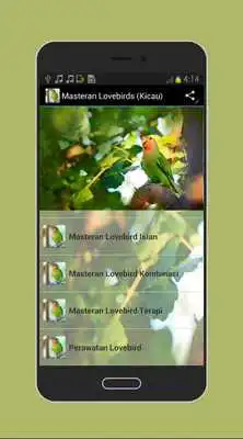 Play Masteran Lovebirds (Kicau)