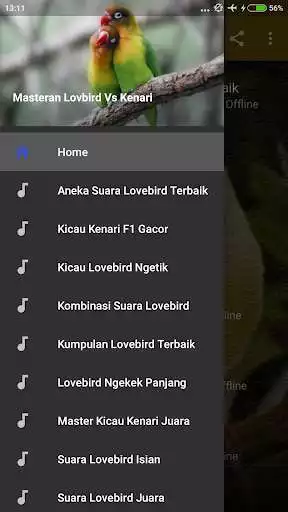 Play Masteran Lovebird Vs Kenari Mp3  and enjoy Masteran Lovebird Vs Kenari Mp3 with UptoPlay