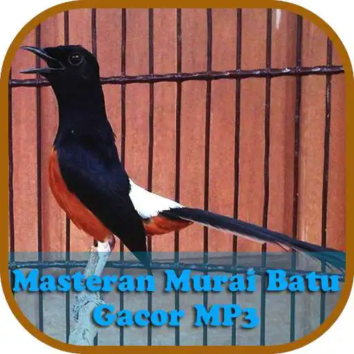 Free play online Masteran Murai Batu Gacor MP3 APK Free play online Masteran Murai Batu Gacor MP3 APK