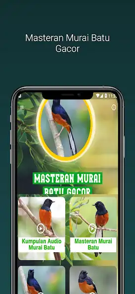 Play Masteran Murai Batu Gacor  and enjoy Masteran Murai Batu Gacor with UptoPlay