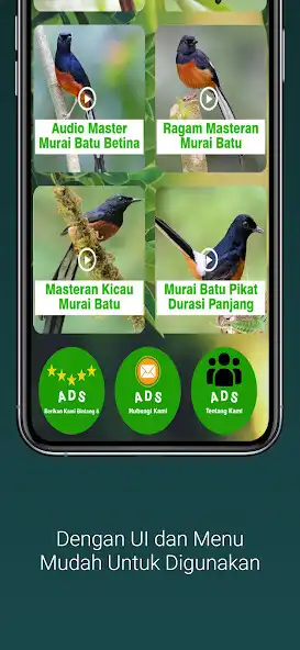 Play Masteran Murai Batu Gacor as an online game Masteran Murai Batu Gacor with UptoPlay