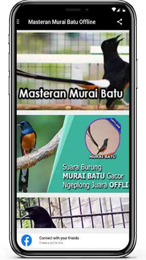 Play Masteran Murai Batu Offline Terlengkap  and enjoy Masteran Murai Batu Offline Terlengkap with UptoPlay