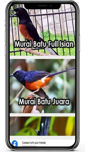 Play Masteran Murai Batu Offline Terlengkap as an online game Masteran Murai Batu Offline Terlengkap with UptoPlay