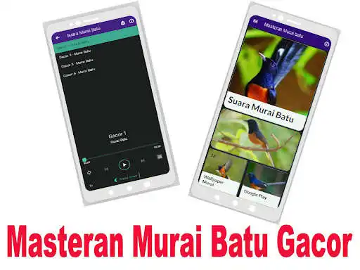Play Masteran Murai Gacor Offline as an online game Masteran Murai Gacor Offline with UptoPlay