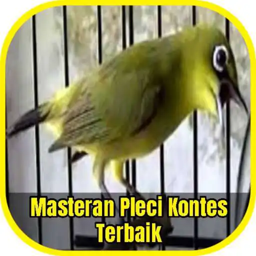 Run free android online Masteran Pleci Kontes Terbaik APK