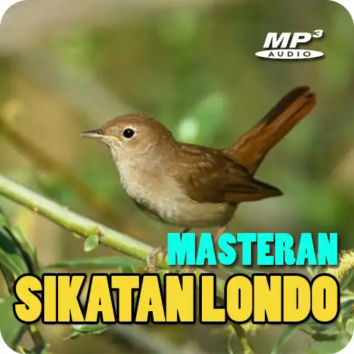 Play Masteran Sikatan Londo Offline APK Play Masteran Sikatan Londo Offline APK