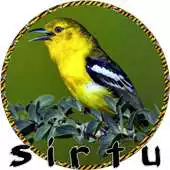 Free play online Masteran Sirtu Terbaru APK