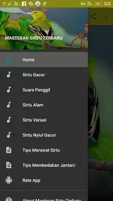 Play Masteran Sirtu Terbaru