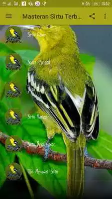 Play Masteran Sirtu Terbaru