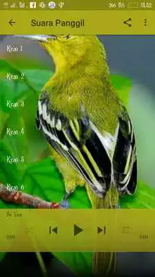 Play Masteran Sirtu Terbaru