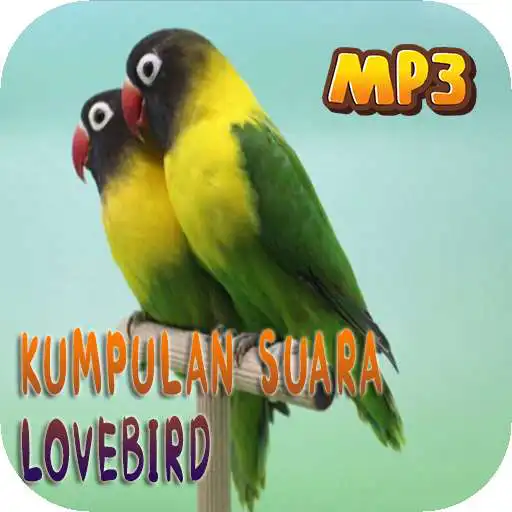 Run free android online Masteran suara burung Lovebird APK