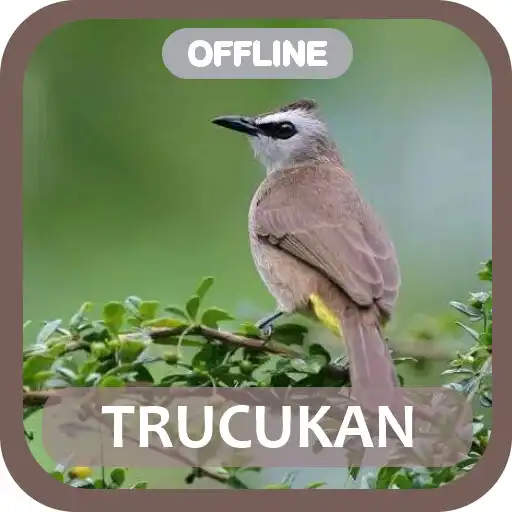 Play Masteran Trucukan Gacor APK