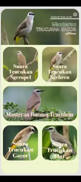 Play Masteran Trucukan Gacor  and enjoy Masteran Trucukan Gacor with UptoPlay