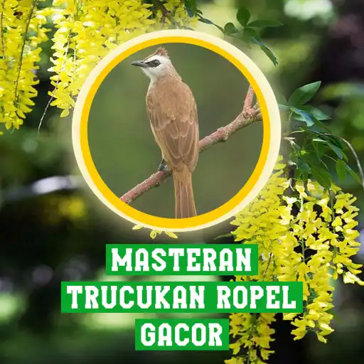 Free play online Masteran Trucukan Ropel Gacor APK Free play online Masteran Trucukan Ropel Gacor APK